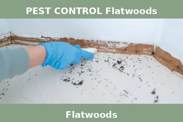 PEST CONTROL Flatwoods